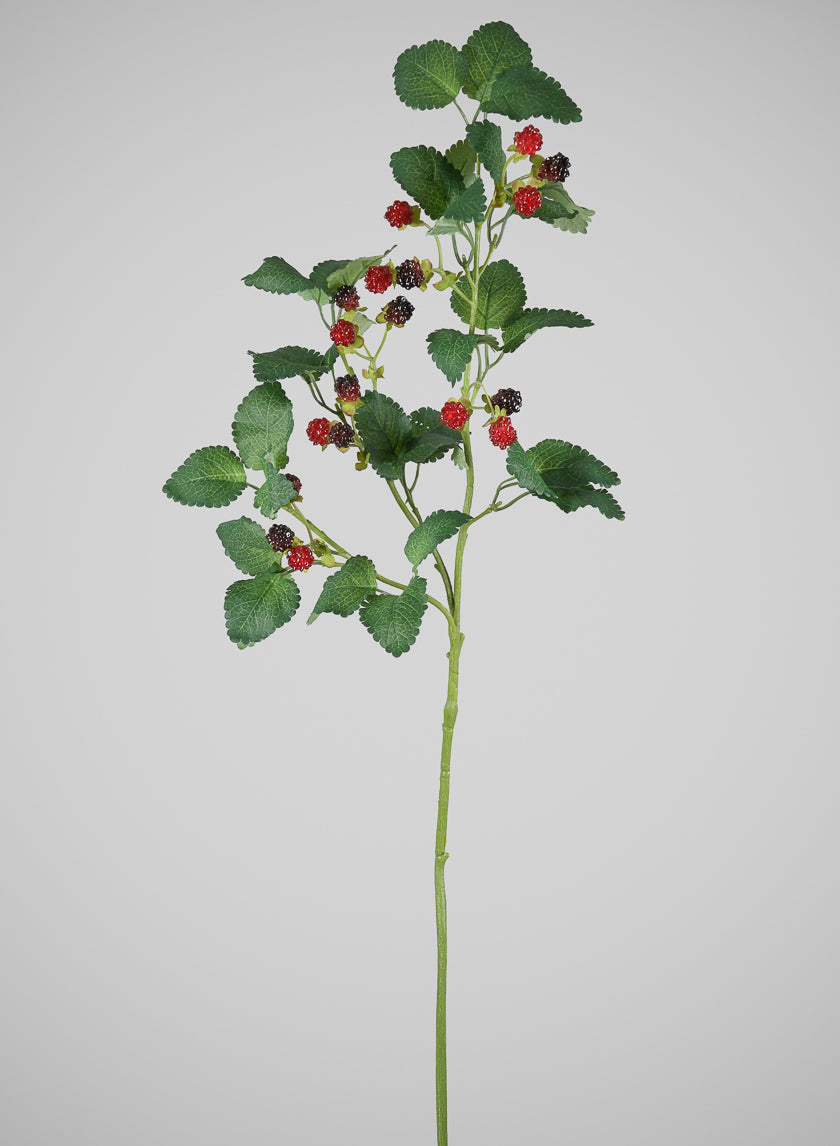 29in Long Faux Red/Black Raspberry Stem, Case of 12 – Jamali Garden