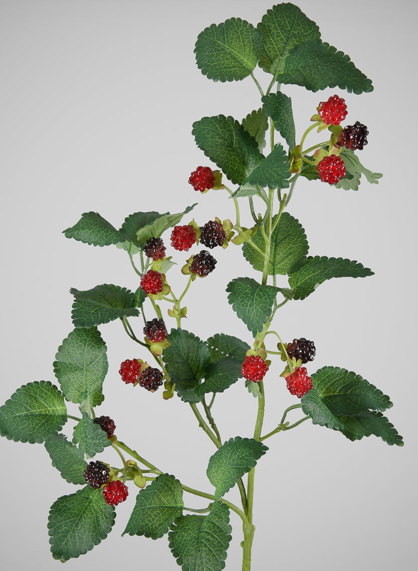 29in Long Faux Red/Black Raspberry Stem, Case of 12 Decor Jamali Garden
