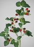 29in Long Faux Red/Black Raspberry Stem, Case of 12 Decor Jamali Garden