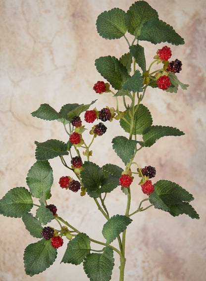 29in Long Faux Red/Black Raspberry Stem, Case of 12 Decor Jamali Garden
