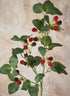 29in Long Faux Red/Black Raspberry Stem, Case of 12 Decor Jamali Garden