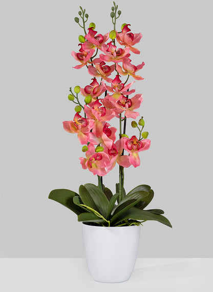 26in Tall Pink Orchid In Pot Decor Jamali Garden