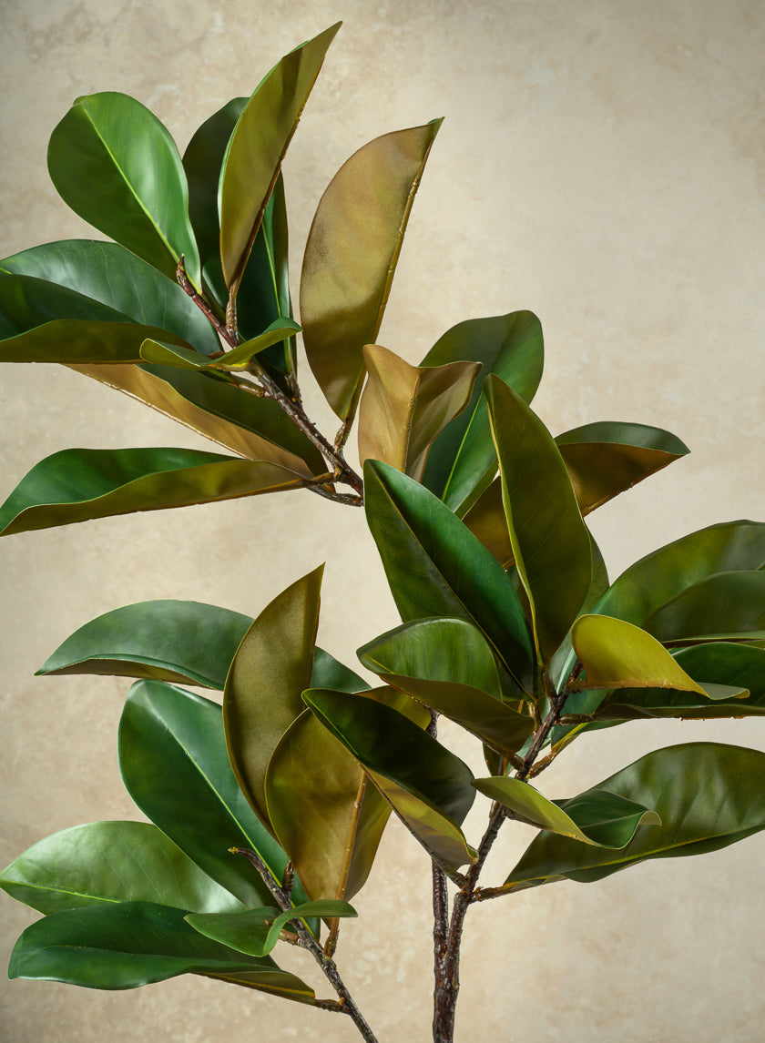 50in Long Real Touch Magnolia Leaves Spray, Case of 6 Decor Jamali Garden