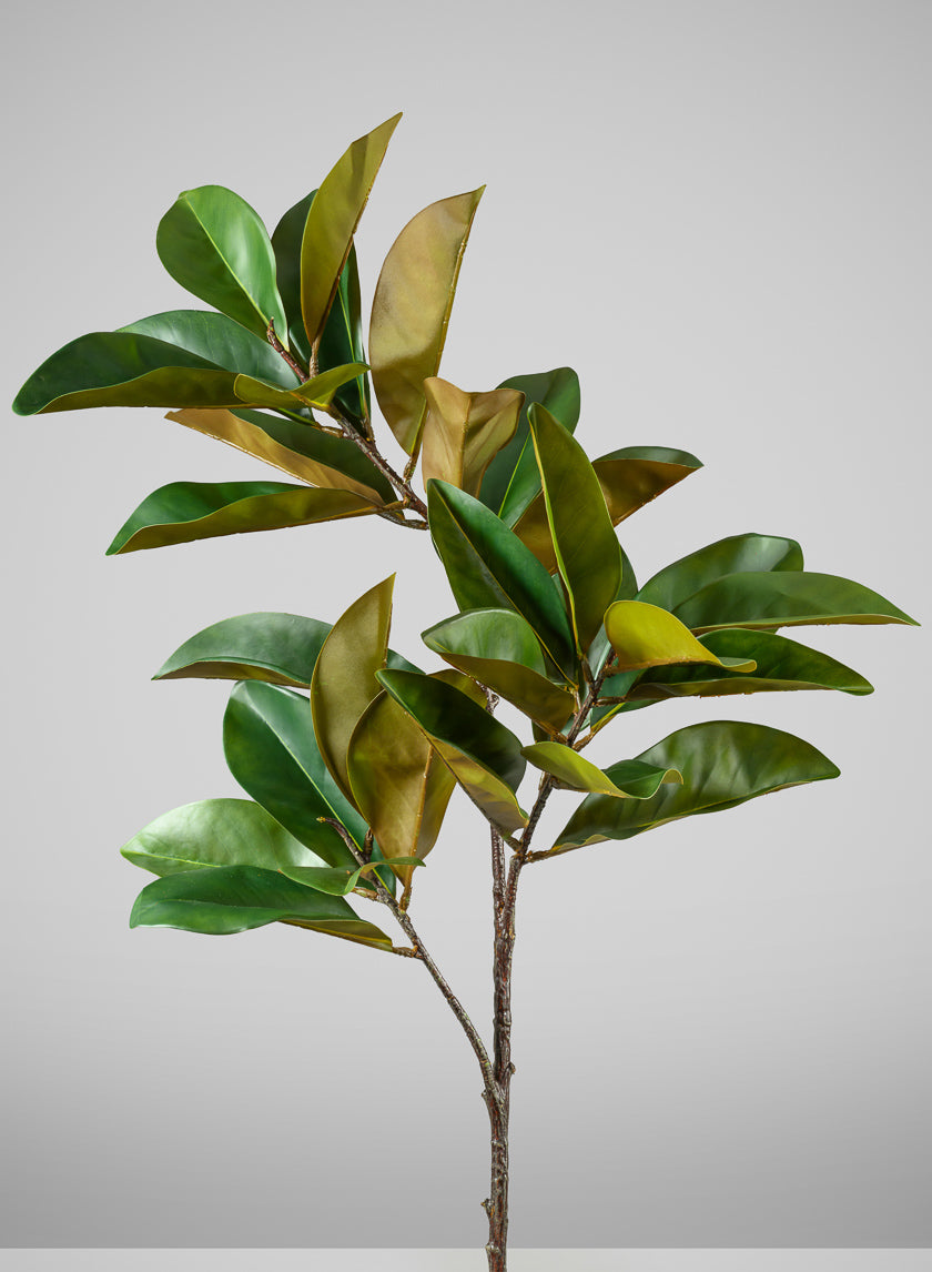 50in Long Real Touch Magnolia Leaves Spray, Case of 6 – Jamali Garden