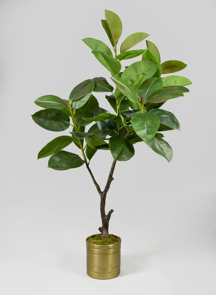 rubber.tree 5ft Tall Potted Real Touch Rubber Tree – Jamali Garden