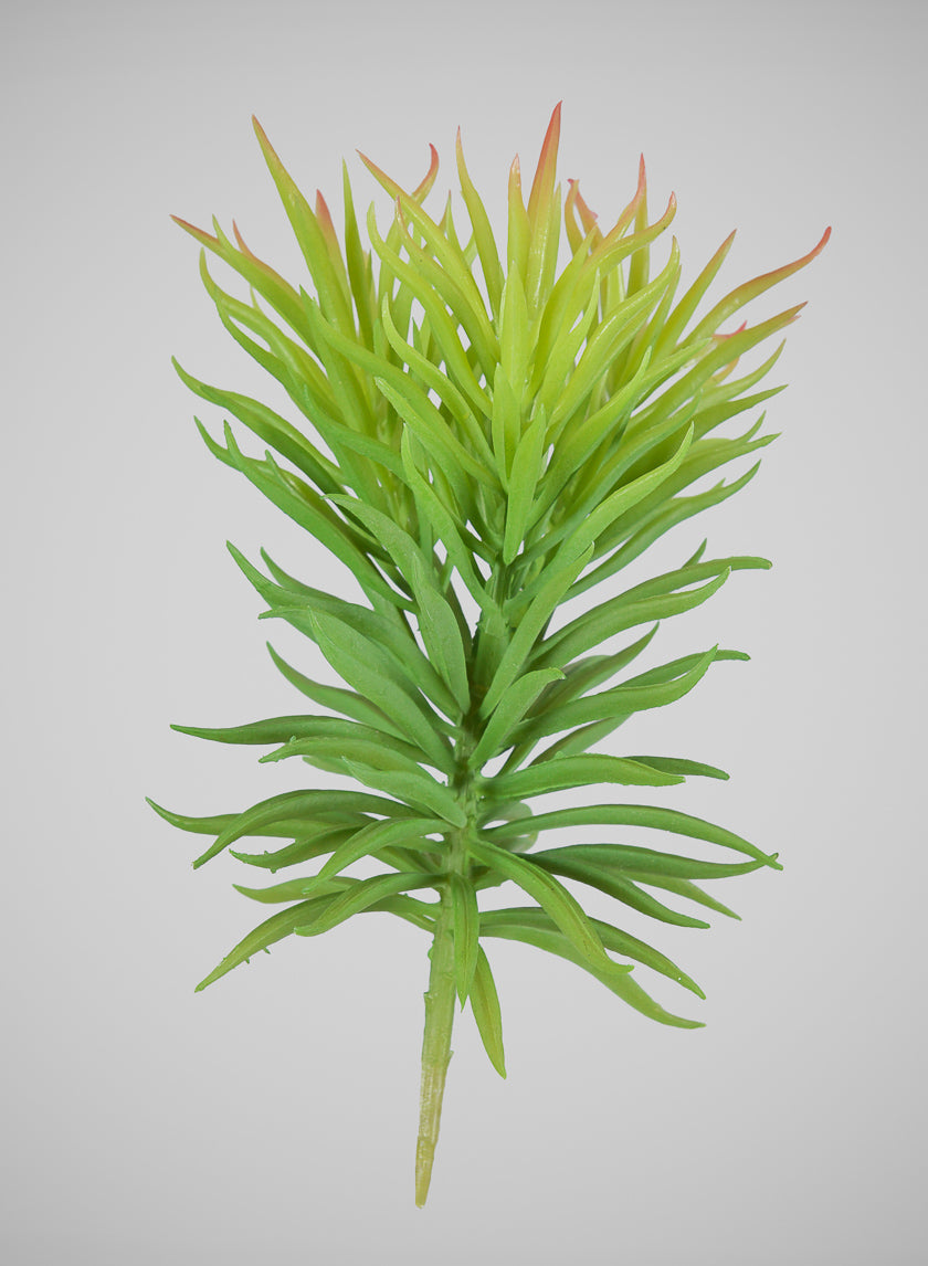 7in Long Happy Bean Succulent Pick, Case of 12 Decor Jamali Garden