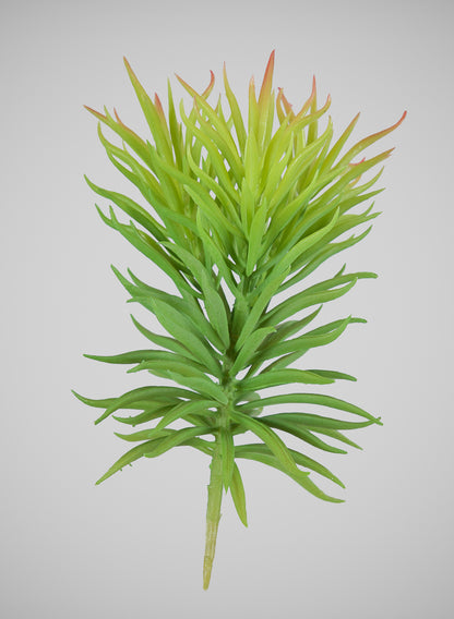 7in Long Happy Bean Succulent Pick, Case of 12 Decor Jamali Garden