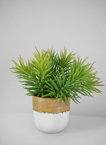 7in Long Happy Bean Succulent Pick, Case of 12 Decor Jamali Garden