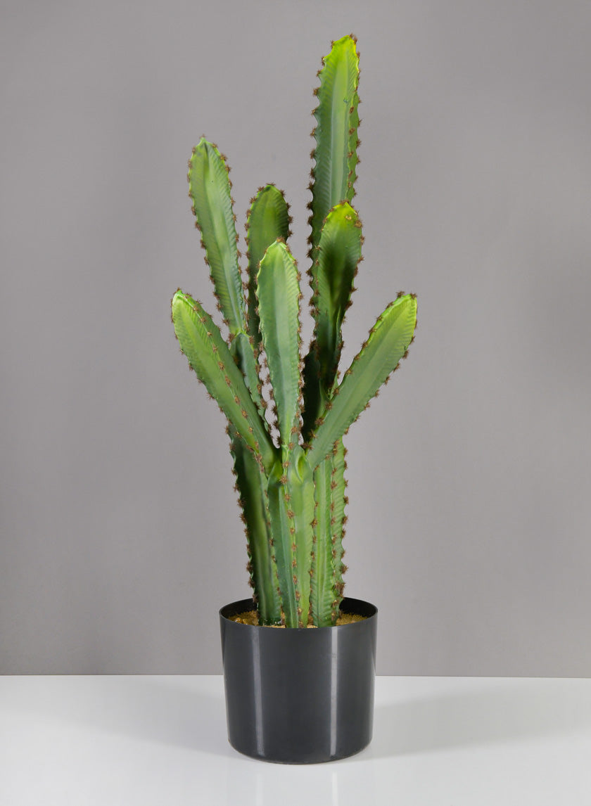 28in Tall San Pedro Desert Cactus Plant with Pot Decor Jamali Garden