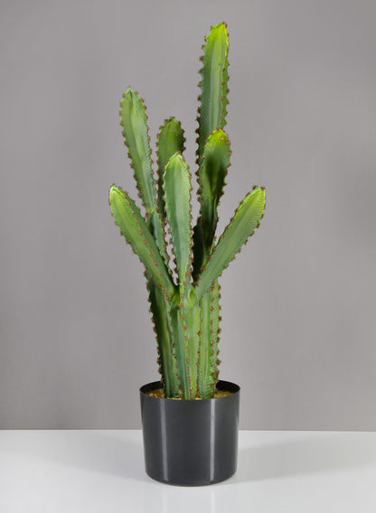 28in Tall San Pedro Desert Cactus Plant with Pot Decor Jamali Garden