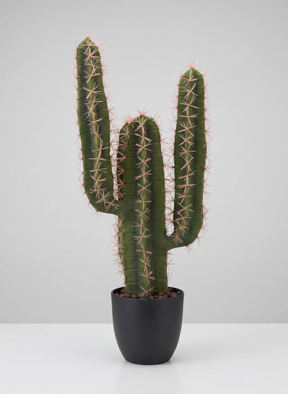 23in Tall San Pedro Desert Cactus Plant with Pot Decor Jamali Garden