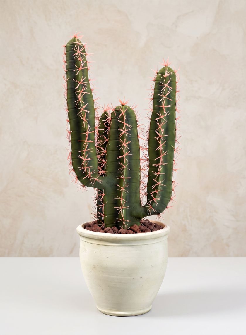 23in Tall San Pedro Desert Cactus Plant with Pot Decor Jamali Garden