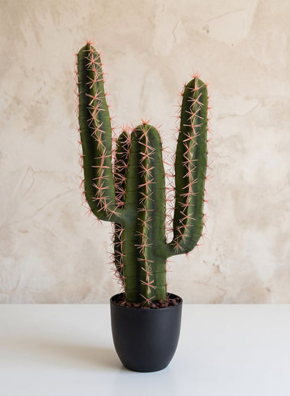 23in Tall San Pedro Desert Cactus Plant with Pot Decor Jamali Garden