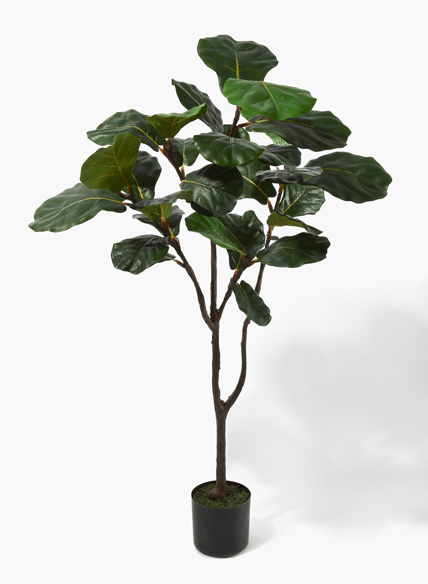 large faux fiddle leaf fig tree 4ft Tall Fiddle-Leaf Fig Tree