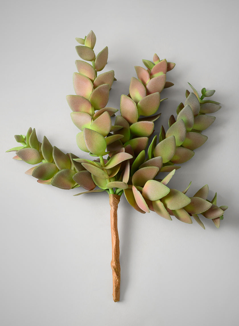 10in Long Trailing Succulent Pick, Case of 12 Decor Jamali Garden
