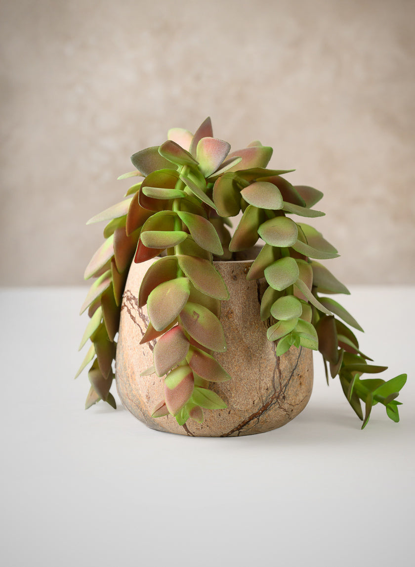 10in Long Trailing Succulent Pick, Case of 12 Decor Jamali Garden