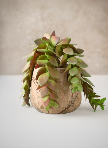 10in Long Trailing Succulent Pick, Case of 12 Decor Jamali Garden