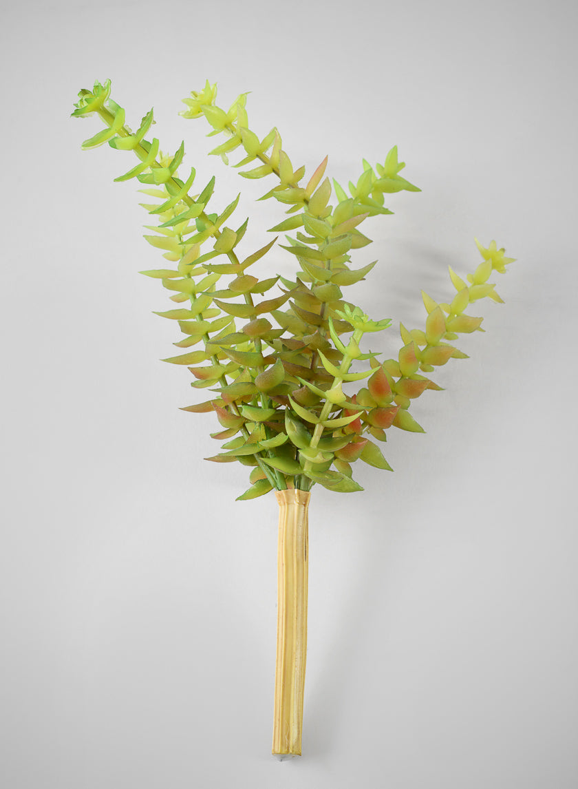 8in Long String of Buttons Succulent Pick, Case of 12 Decor Jamali Garden