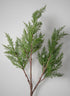 40in Long Green Juniper Berry Spray, Case of 6 Decor Jamali Garden