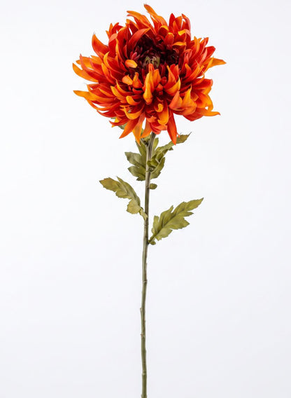 24in Tall Spider Chrysanthemum, Burned Orange