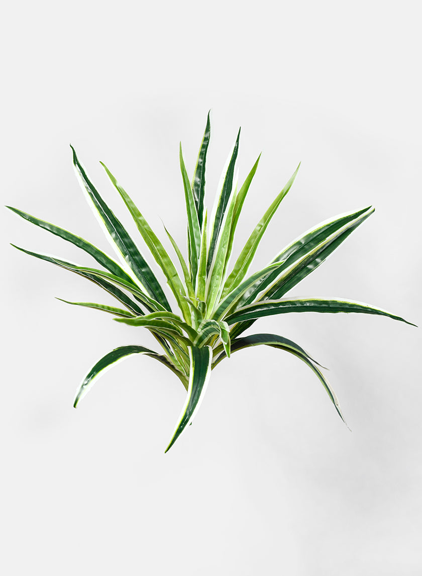 artificial spider plant 12in Long Spider Plant Pick