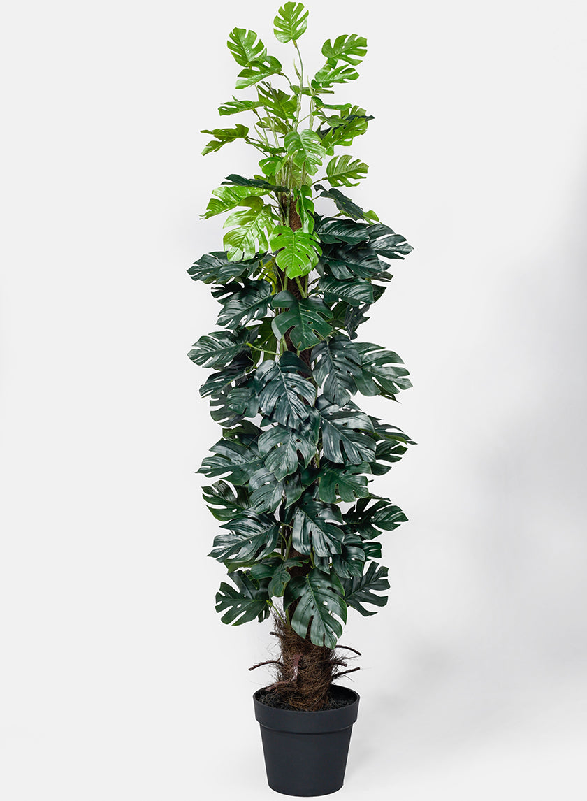 monstera plant faux 55in Tall Monstera Plant