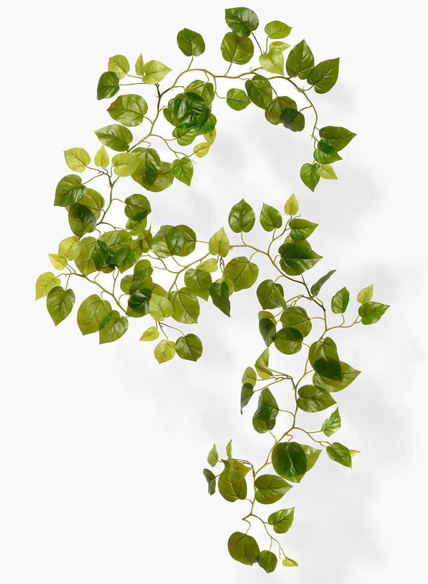 pothos garland 76in Long Potos Garland, Case of 12