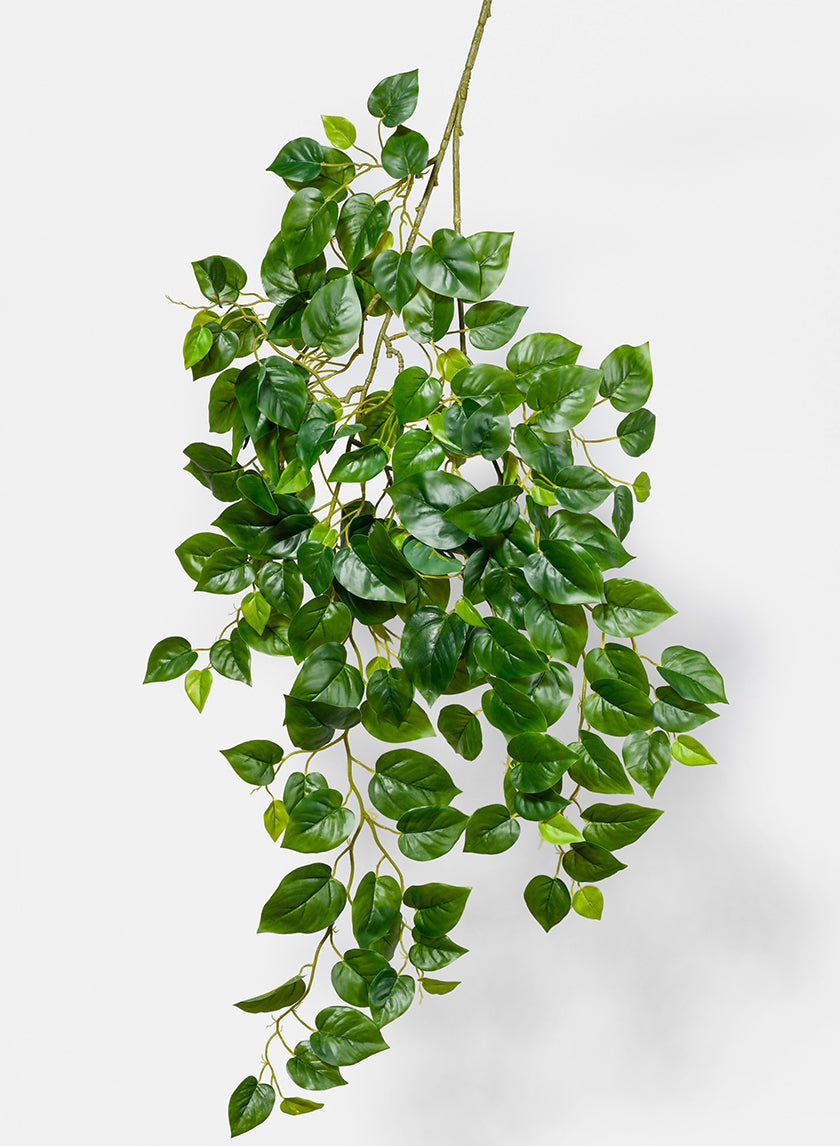 fake jade plant 41in Long Jade Pothos Spray – Jamali Garden