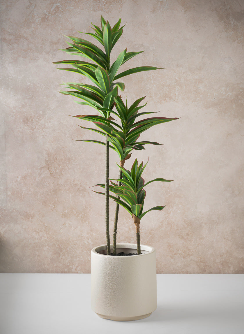 32in Tall Real Touch Dracaena Plant In a White Pot Decor Jamali Garden