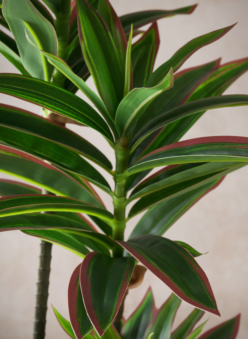 32in Tall Real Touch Dracaena Plant In a White Pot Decor Jamali Garden