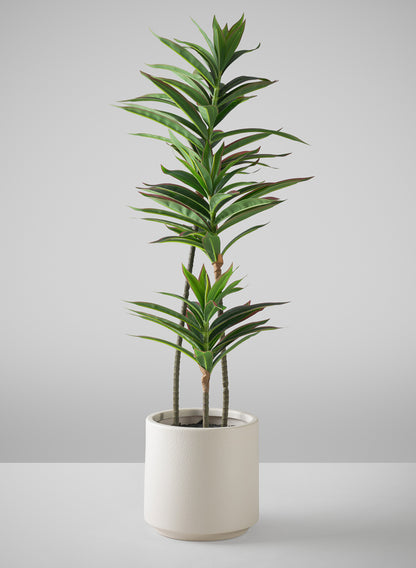32in Tall Real Touch Dracaena Plant In a White Pot Decor Jamali Garden