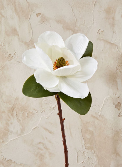 20in Long Magnolia, Case of 12 Decor Jamali Garden