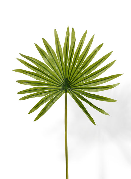 Buy 19in Mini Fan Palm Leaf Online | Faux Palm Leaf Plants