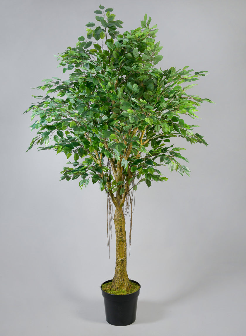 ficus pot plant 7.5ft Tall Real Touch Giant Ficus Tree