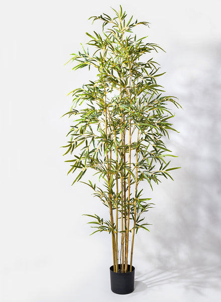 pot for bamboo plant 6ft Bamboo Tree | Faux Potted Plants