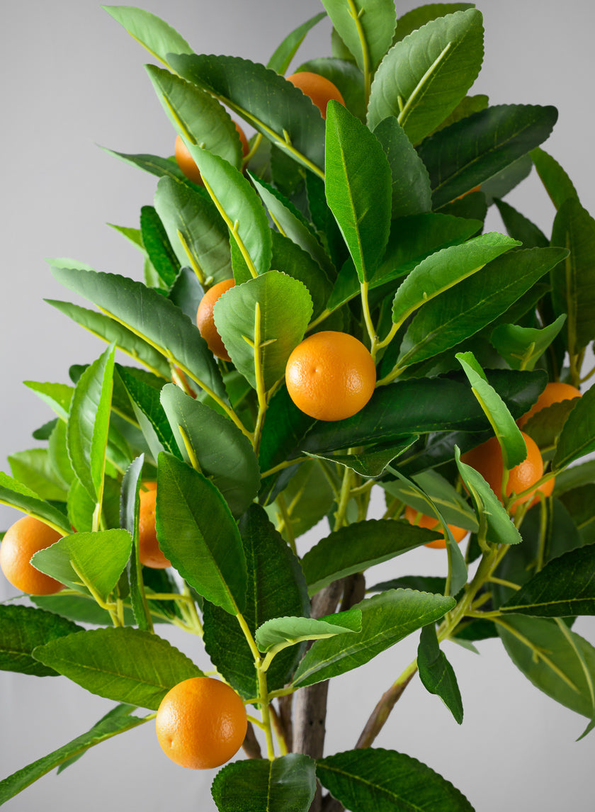 28in Long Real Touch Clementine Tree In a White Pot Decor Jamali Garden