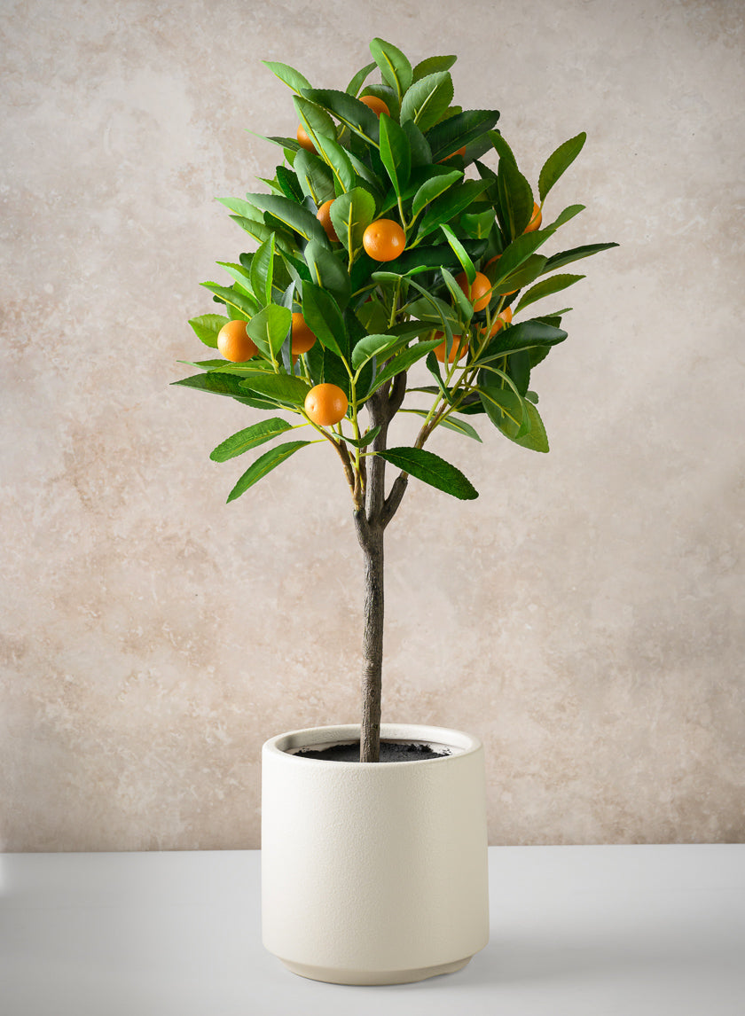 28in Long Real Touch Clementine Tree In a White Pot – Jamali Garden