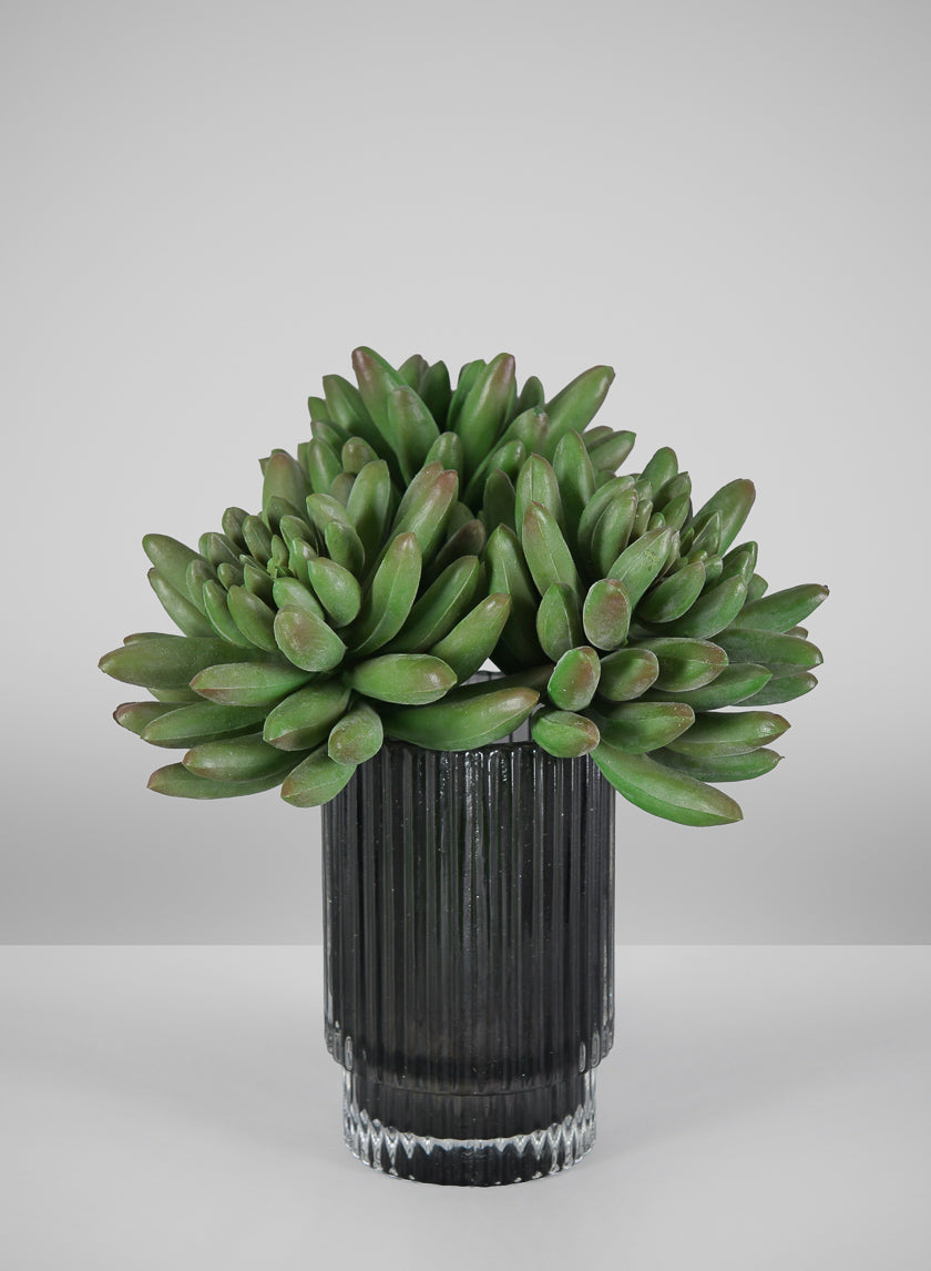 5in Long Senecio Succulent Pick, Case of 12 Decor Jamali Garden