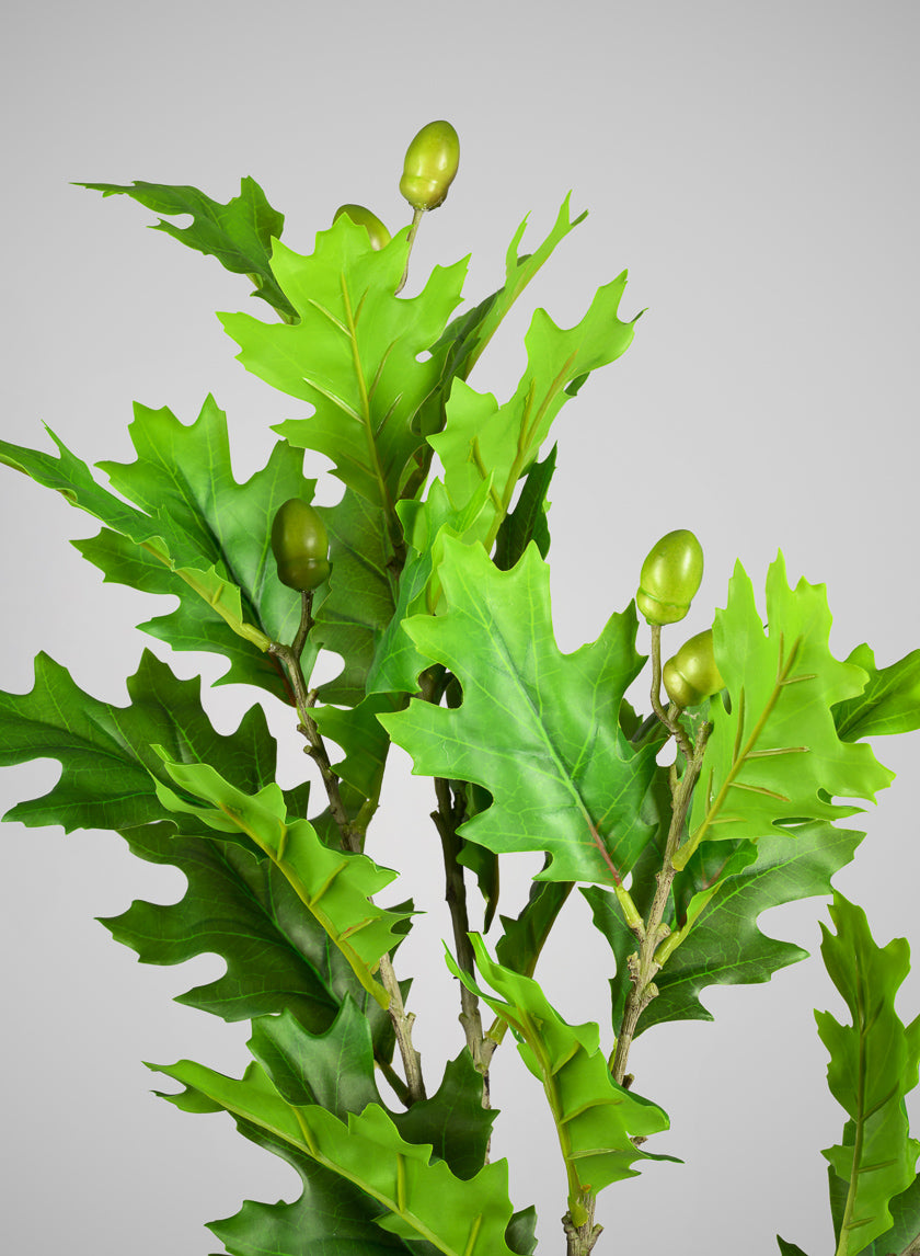 38in Long Real Touch Oak Leaf And Acorns Pick, Case of 6 Decor Jamali Garden