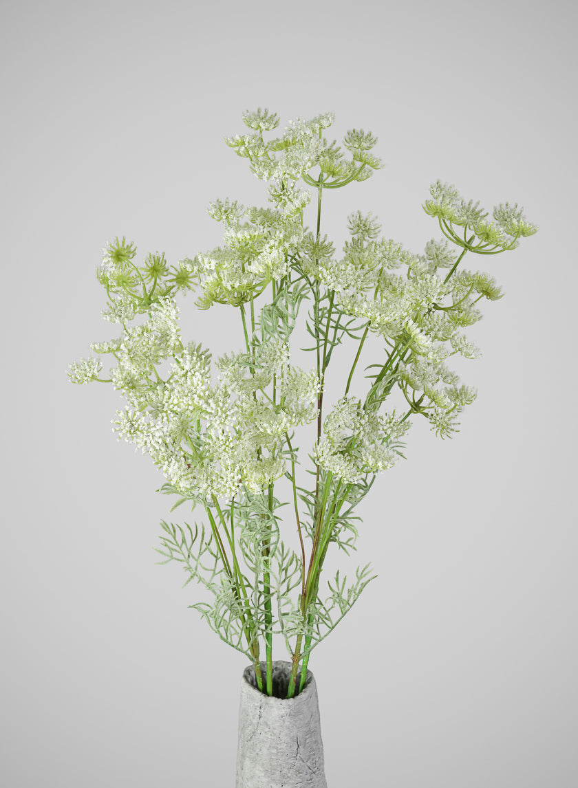 31in Long White Queen Anne's Lace Stem, Case of 12 – Jamali Garden
