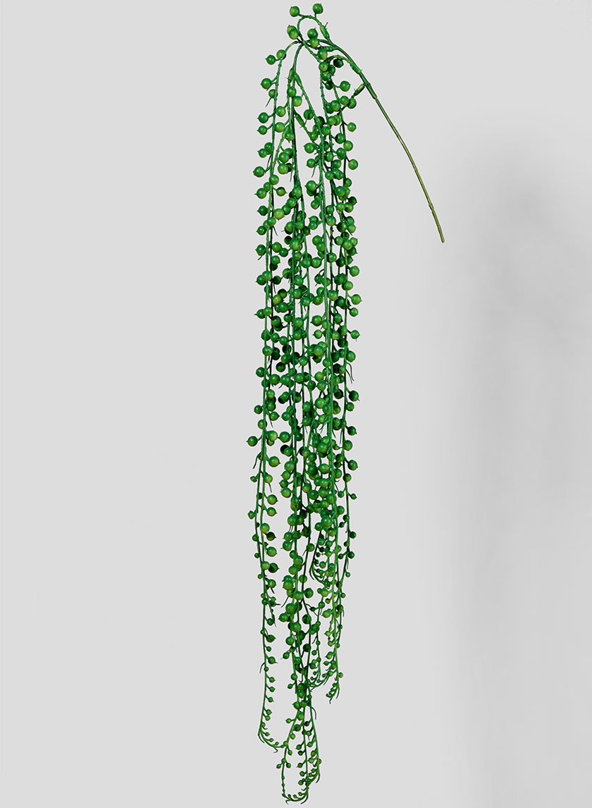fake string of pearls succulent 35in Long String Of Pearls Pick Senecio, Case of 12 – Jamali Garden