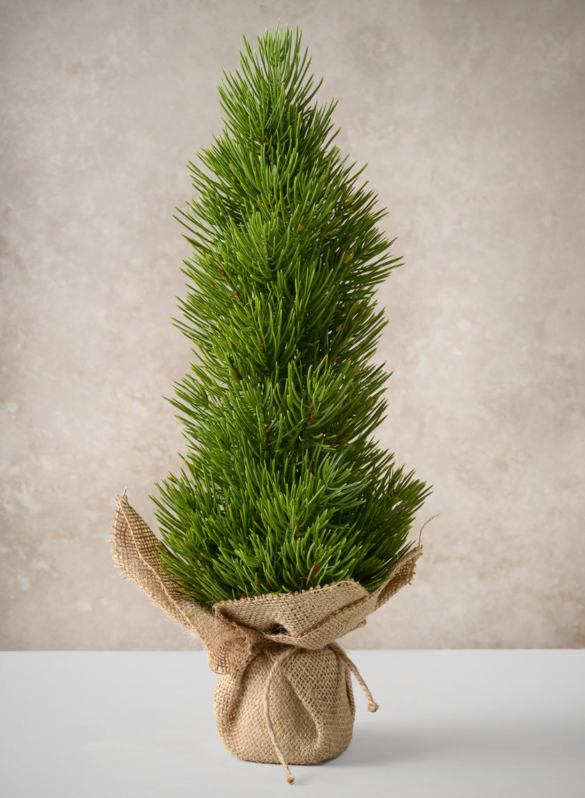 16in Tall Mini Pine Tree with Burlap Wrap, Case of 6 – Jamali Garden