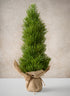 16in Tall Mini Pine Tree with Burlap Wrap, Case of 6 Decor Jamali Garden