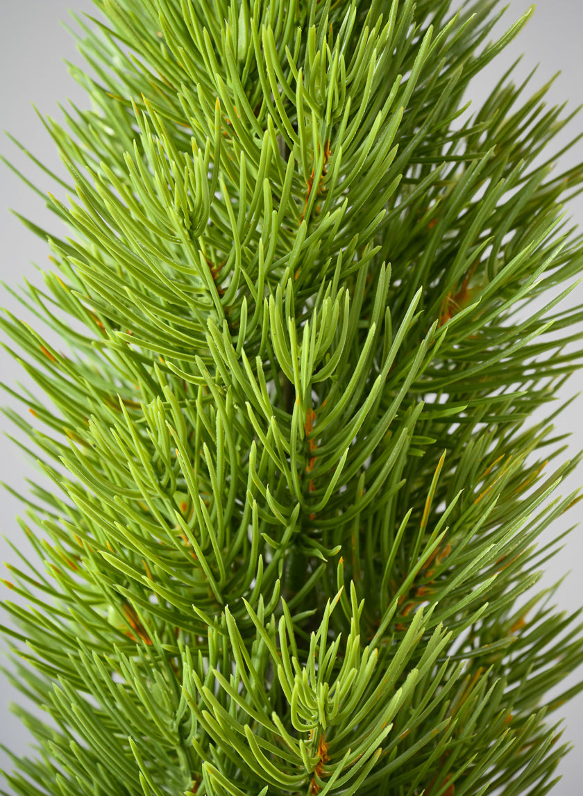 16in Tall Mini Pine Tree with Burlap Wrap, Case of 6 Decor Jamali Garden