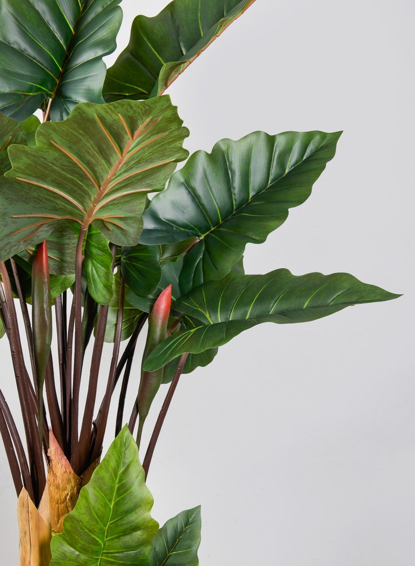 tall philodendron plant 67in Tall Artificial Philodendron Selloum Potted Plant