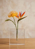 6.5in Square Space Modern Crystal Glass Vase Decor Jamali Garden