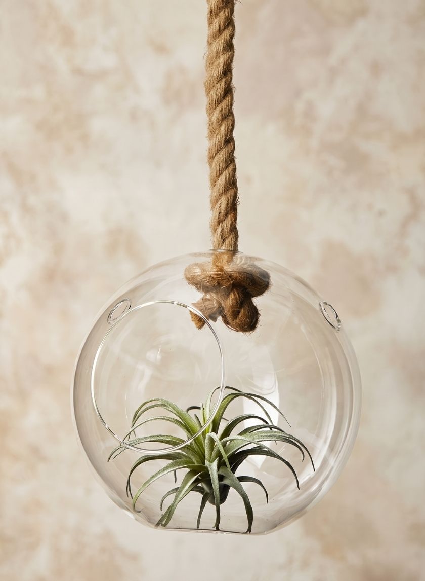 8.5in Wide Glass Sphere On A Rope Decor Jamali Garden