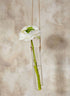 7in Tall Hanging Glass Tube Vase Decor Jamali Garden