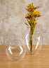 Imparfait Fishbowl Decor Jamali Garden