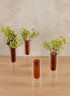6.25in Tall Amber Pasteur Dual Tone Small Tube Glass Vase, Set of 4 Decor Jamali Garden